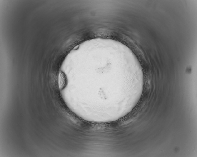 X0000097300523200803141535