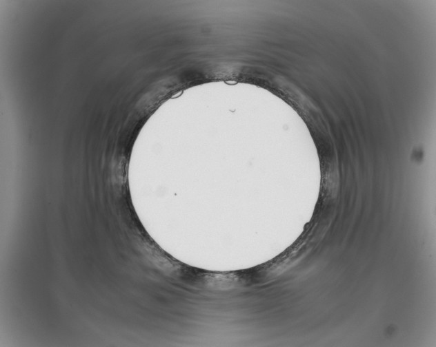 X0000097300525200803141535