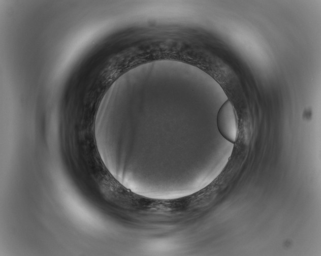 X0000097300526200803141535