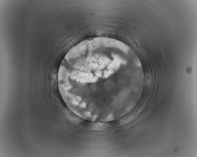 X0000097300527200803141535