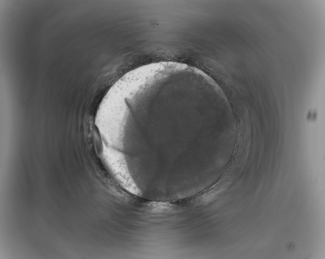 X0000097300528200803141535