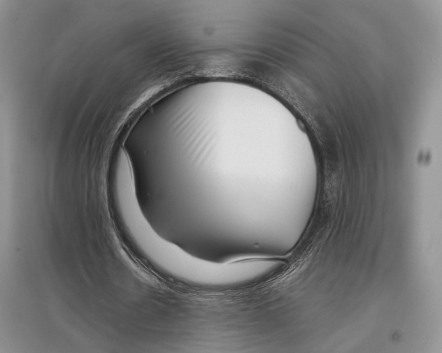 X0000097300530200803141534