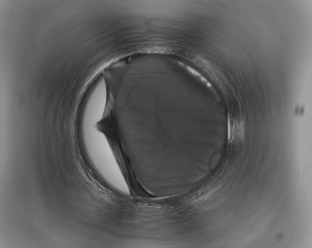 X0000097300531200803141534