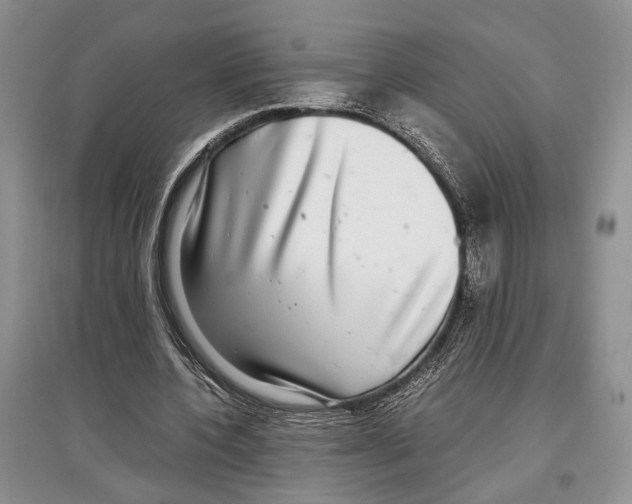 X0000097300532200803141534