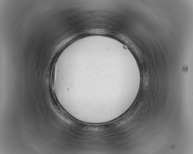 X0000097300533200803141534