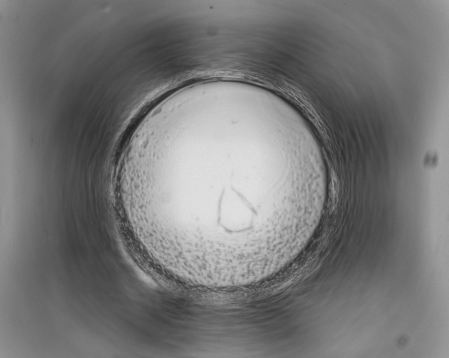 X0000097300534200803141534