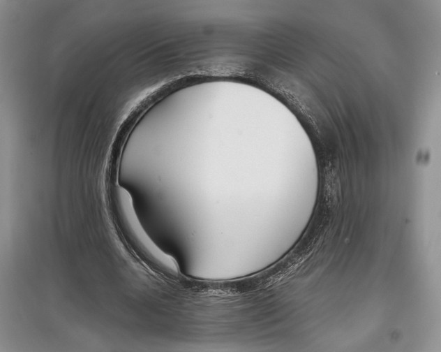 X0000097300536200803141534