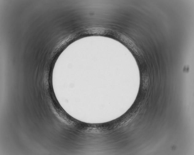 X0000097300538200803141534