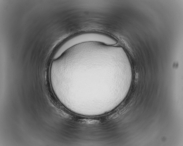 X0000097300539200803141534