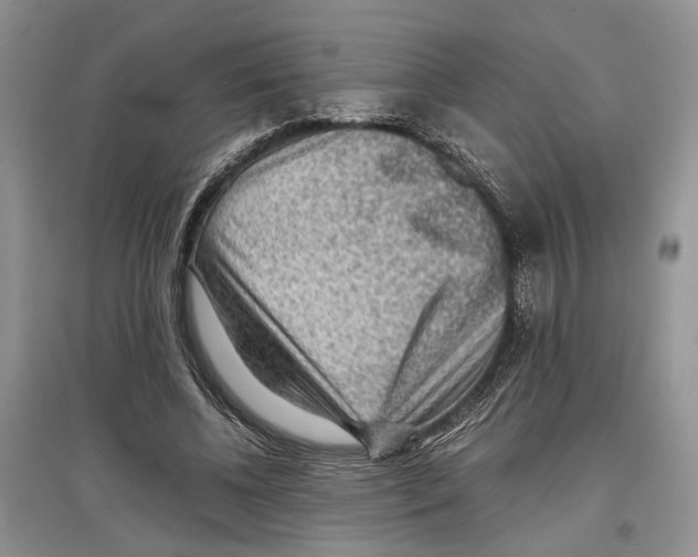 X0000097300540200803141534