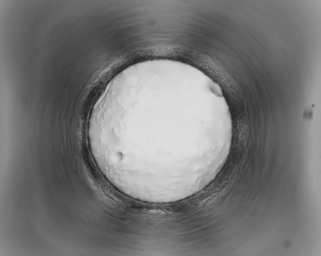 X0000097300542200803141534