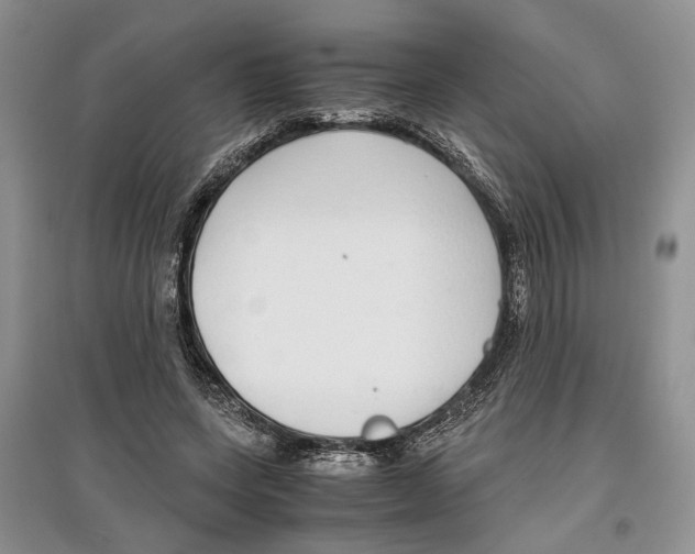X0000097300543200803141534