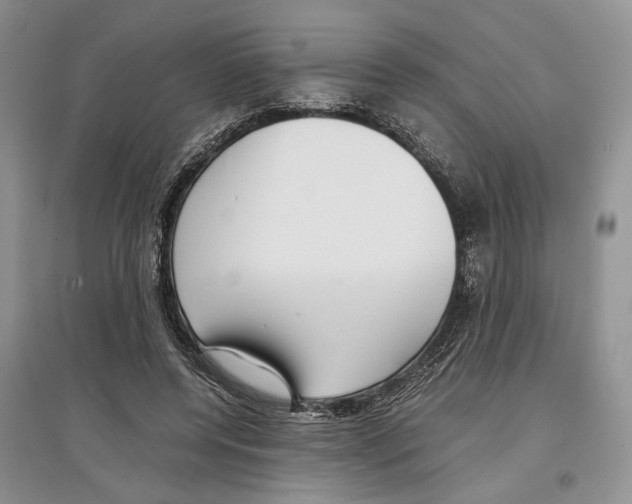 X0000097300544200803141534