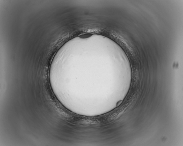 X0000097300545200803141534
