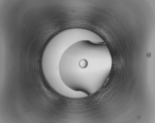 X0000097300546200803141534