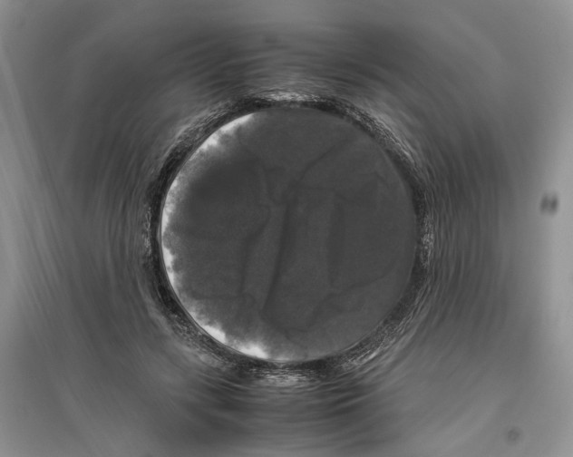 X0000097300547200803141534