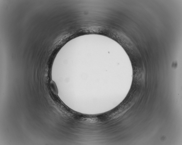 X0000097300548200803141534