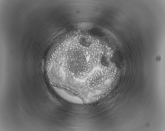 X0000097300550200803141534