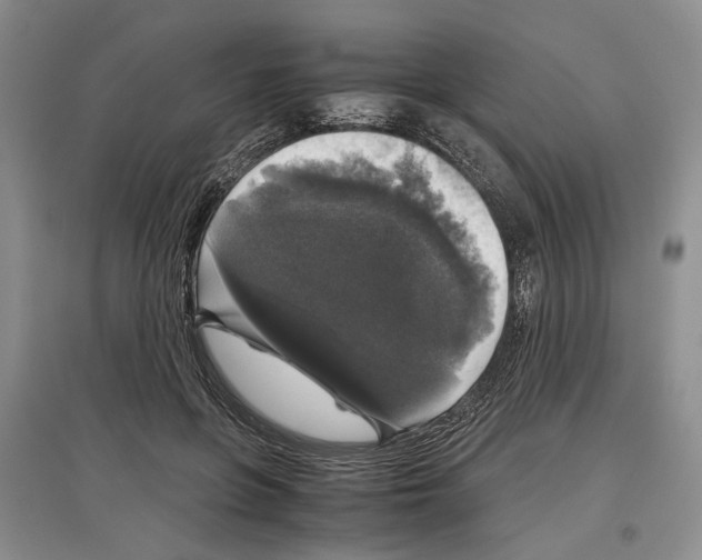 X0000097300551200803141534