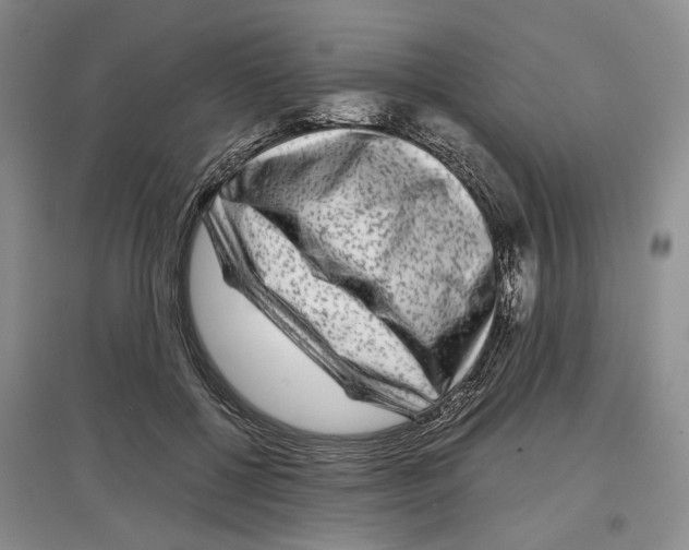 X0000097300552200803141534
