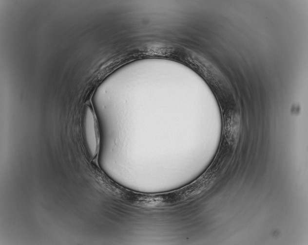 X0000097300554200803141534