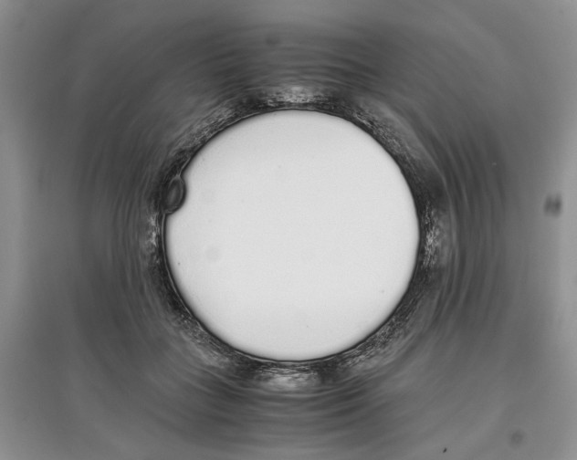 X0000097300555200803141534