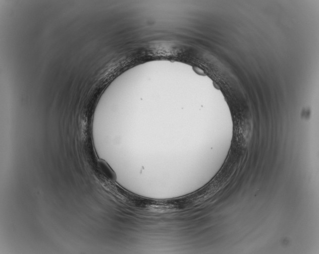 X0000097300556200803141534