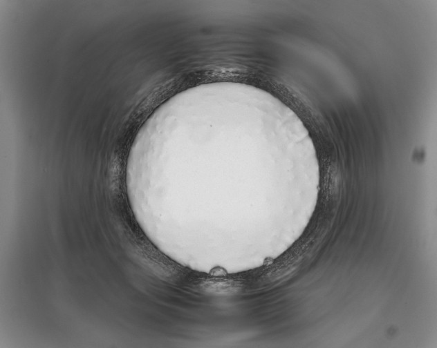 X0000097300557200803141534