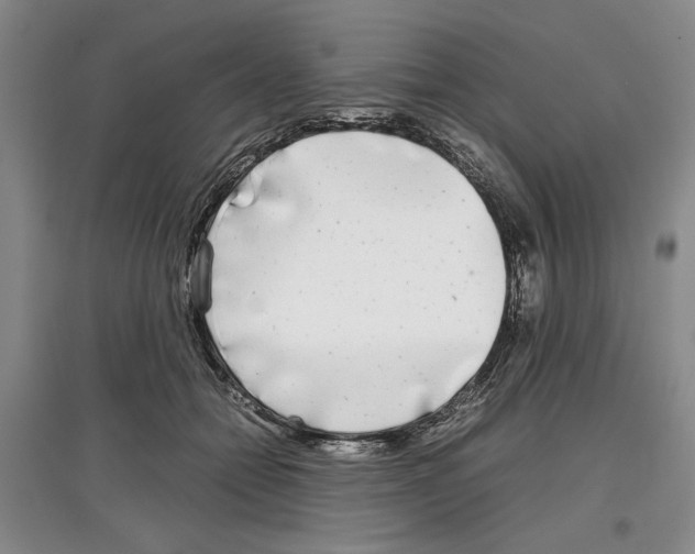 X0000097300558200803141534