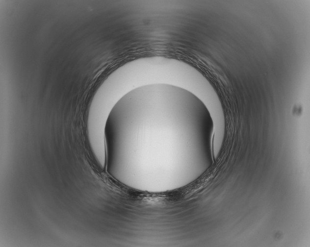 X0000097300560200803141534