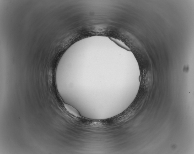 X0000097300562200803141534