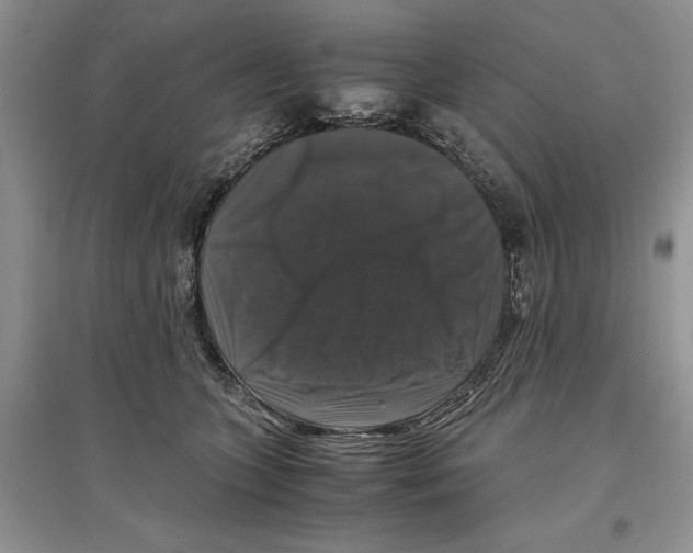 X0000097300563200803141534