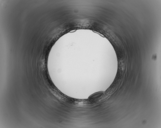 X0000097300564200803141535