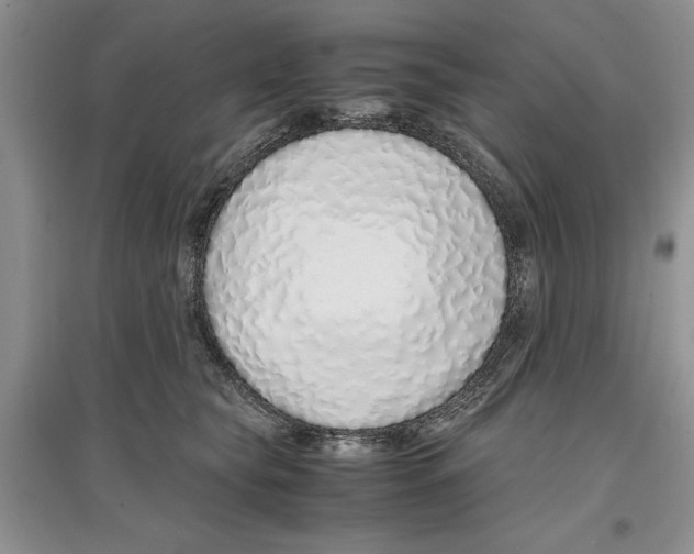 X0000097300565200803141535