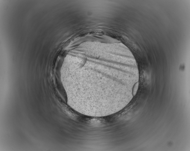 X0000097300566200803141535