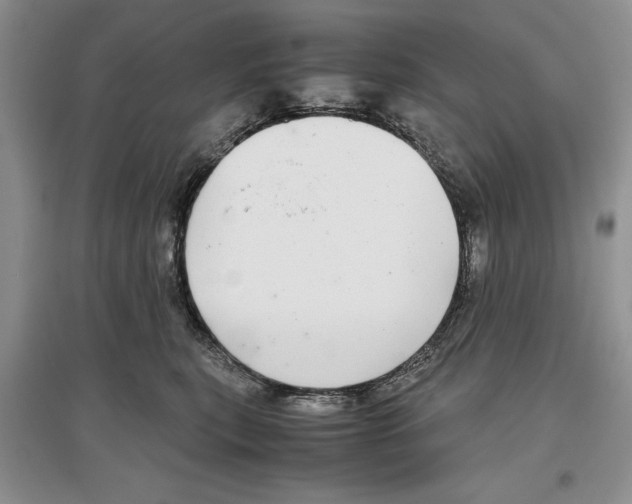 X0000097300567200803141535