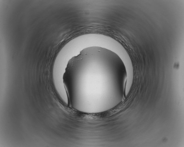 X0000097300568200803141535