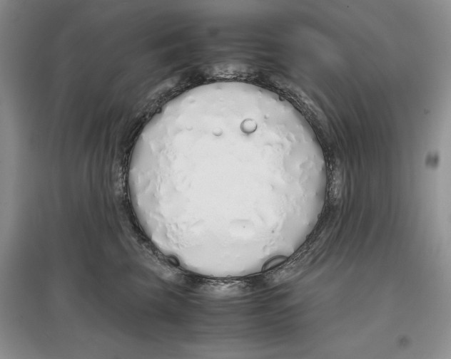 X0000097300569200803141535