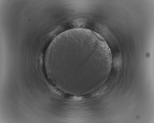 X0000097300570200803141535