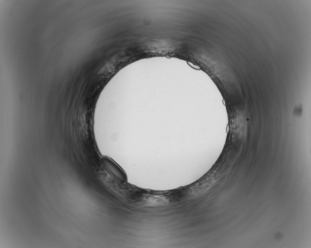 X0000097300572200803141535