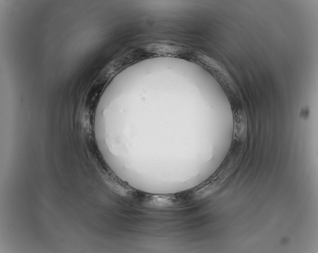X0000097300573200803141535