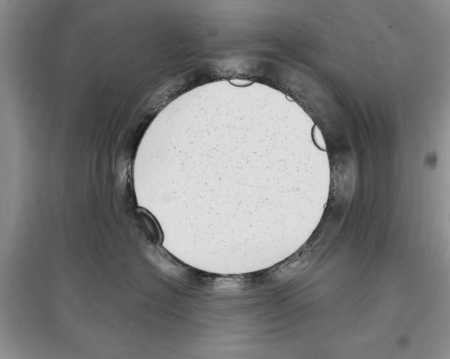 X0000097300574200803141535