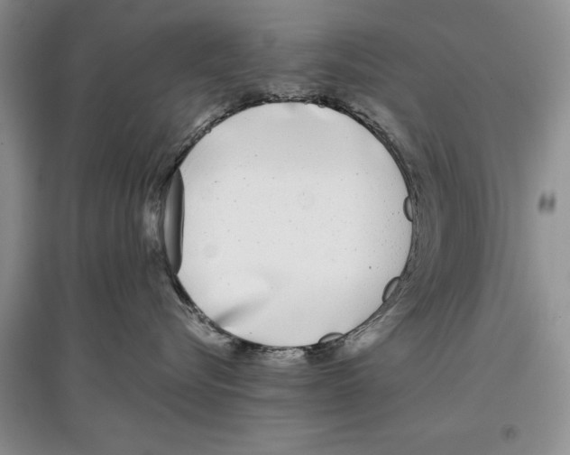 X0000097300576200803141535