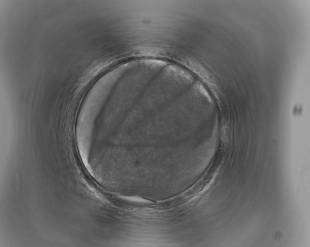 X0000097300577200803141534