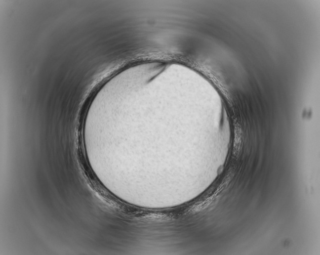 X0000097300578200803141534