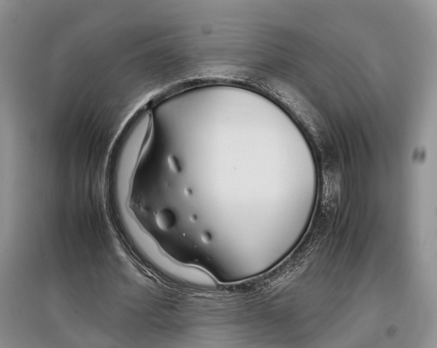 X0000097300580200803141534