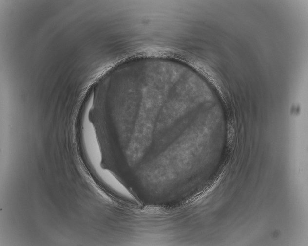 X0000097300581200803141534