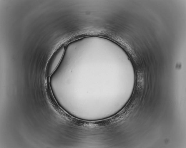 X0000097300582200803141534
