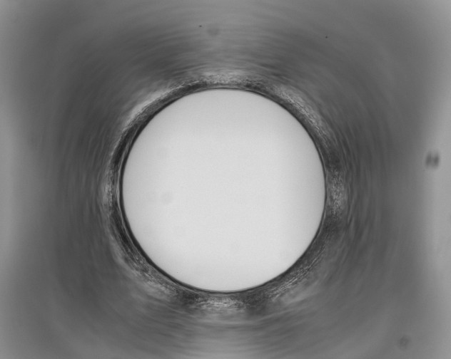 X0000097300583200803141534