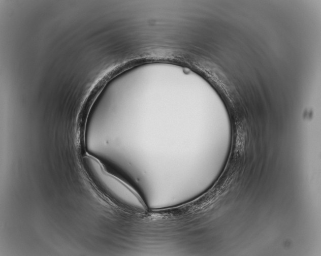X0000097300584200803141534